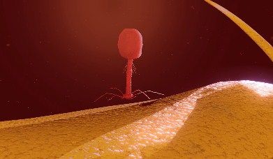 Bacteriophages.jpg